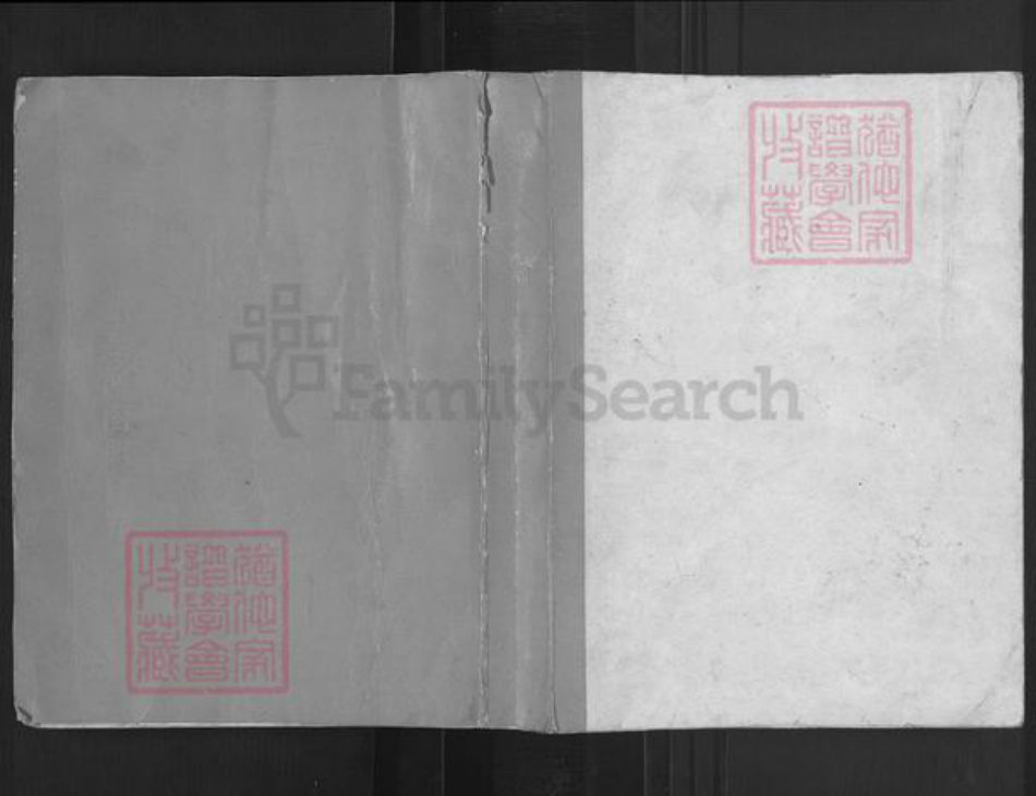 广西壮族自治区梧州市藤县陆氏族谱-陆氏族谱.pdf电子版