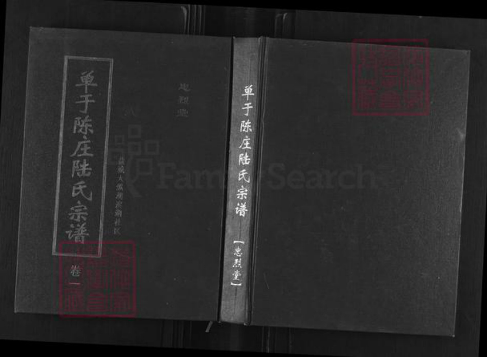 江苏省盐城市盐都区陆氏忠烈堂族谱-单于陈庄陆氏宗谱.pdf电子版
