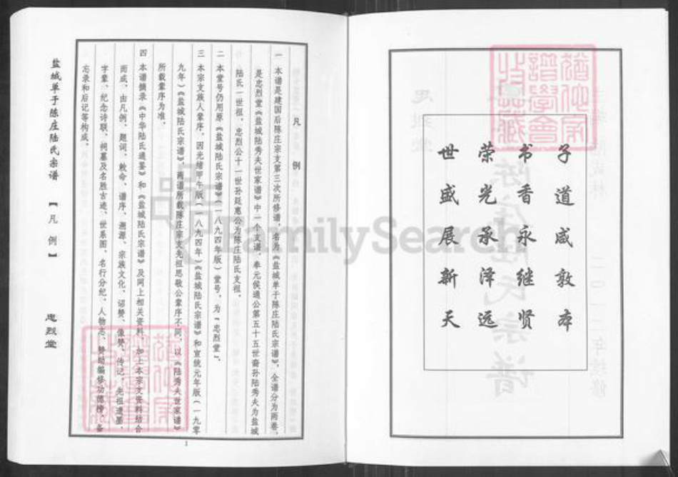 江苏省盐城市盐都区陆氏忠烈堂族谱-单于陈庄陆氏宗谱.pdf电子版插图3