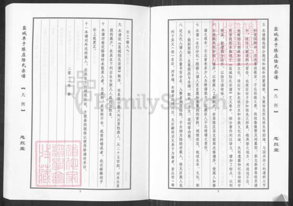 江苏省盐城市盐都区陆氏忠烈堂族谱-单于陈庄陆氏宗谱.pdf电子版插图4