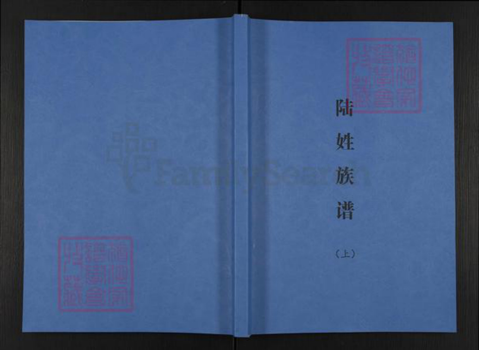 广西壮族自治区南宁市陆氏平原堂族谱-陆姓族谱.pdf电子版