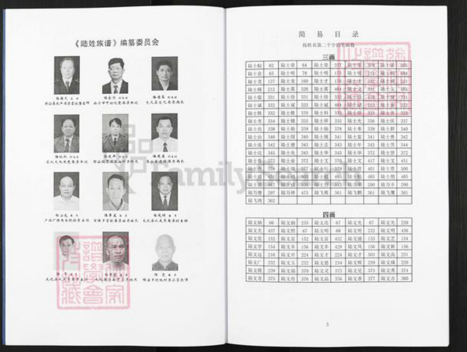 广西壮族自治区南宁市陆氏平原堂族谱-陆姓族谱.pdf电子版插图3 广西壮族自治区南宁市陆氏平原堂族谱-陆姓族谱.pdf电子版插图3