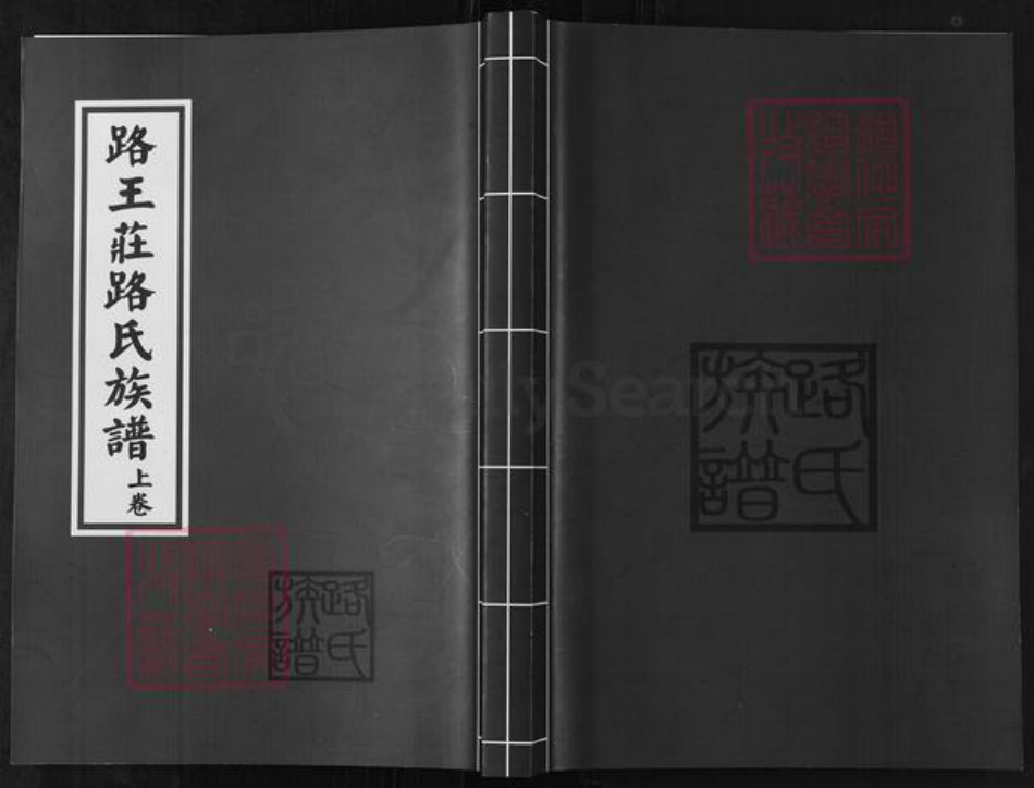 山东省滨州市沾化区路氏族谱-路王庄路氏族谱.pdf电子版