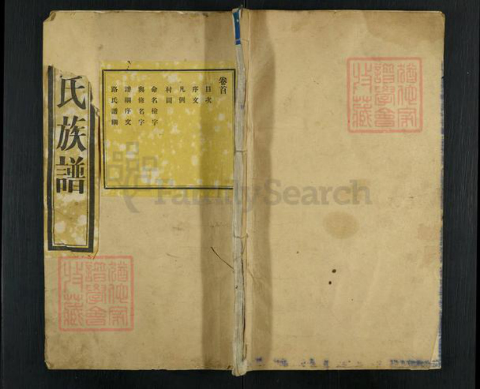 山东省济南市商河县路氏润德堂族谱-颍川路氏世谱.pdf电子版