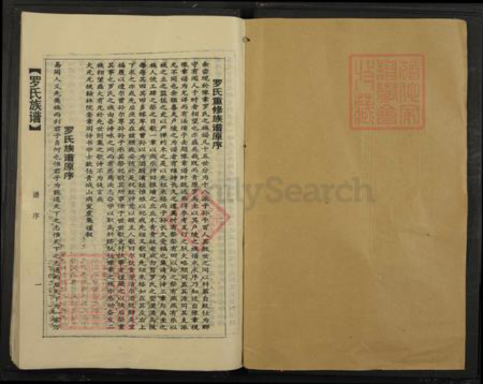 广东省韶关市乐昌市长来镇罗氏族谱-罗氏族谱.pdf电子版插图1