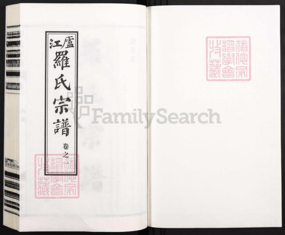 安徽省合肥市庐江县庐城镇罗氏孝思堂族谱-卢江罗氏宗谱.pdf电子版插图1