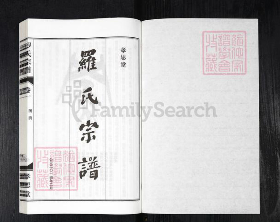 安徽省合肥市庐江县庐城镇罗氏孝思堂族谱-罗氏宗谱.pdf电子版插图1