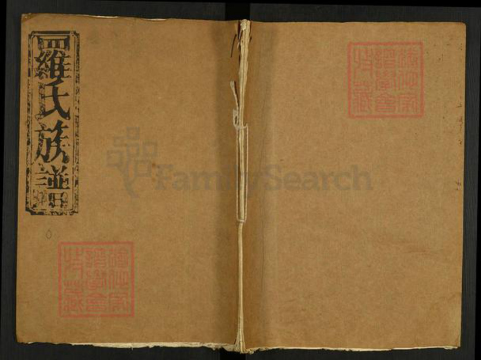 江西省南昌市罗氏豫章堂族谱-罗氏族谱.pdf电子版