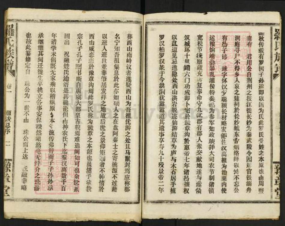 江西省南昌市罗氏豫章堂族谱-罗氏族谱.pdf电子版插图2