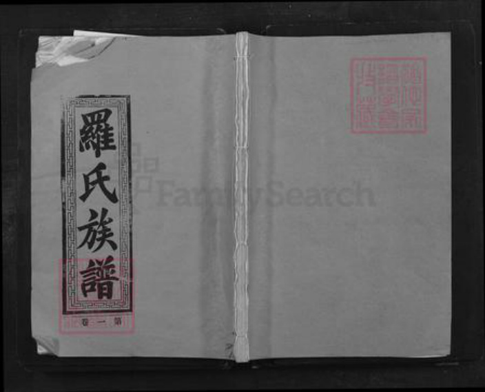 广东省韶关市乐昌市坪石街道罗氏族谱-罗氏族谱.pdf电子版