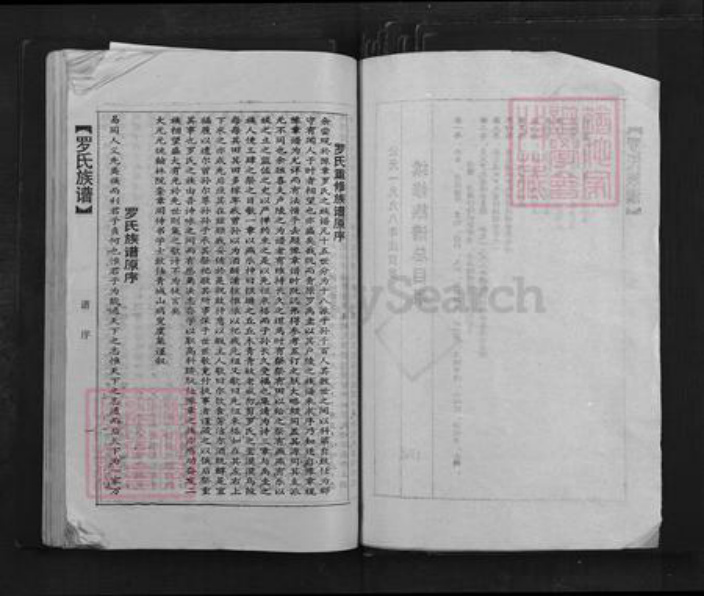 广东省韶关市乐昌市坪石街道罗氏族谱-罗氏族谱.pdf电子版插图2