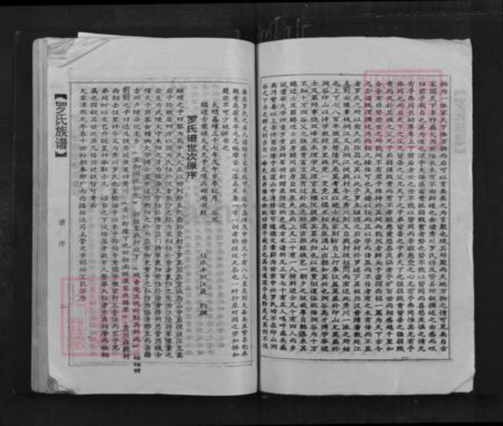 广东省韶关市乐昌市坪石街道罗氏族谱-罗氏族谱.pdf电子版插图3