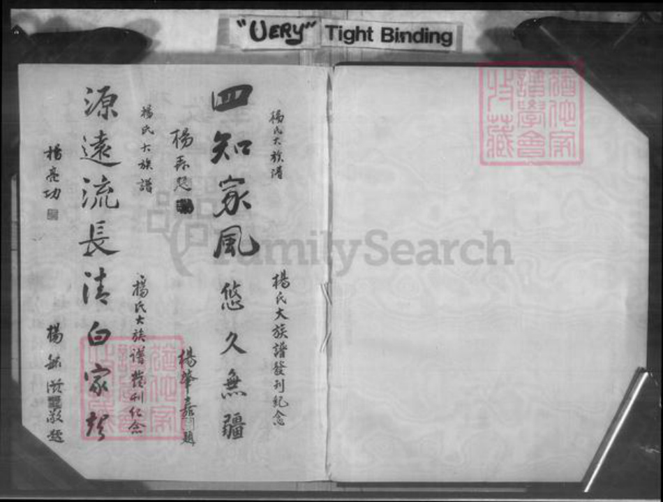 福建省广东省罗氏族谱-罗氏族谱.pdf电子版插图2