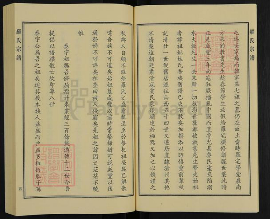 河北省沧州沧县罗氏族谱-罗氏宗谱.pdf电子版插图5