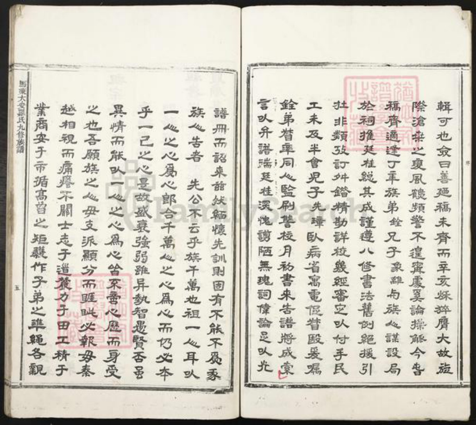 江西省吉安市吉安县万福镇罗氏绍远堂族谱-马冻大安罗氏九修族谱.pdf电子版插图5