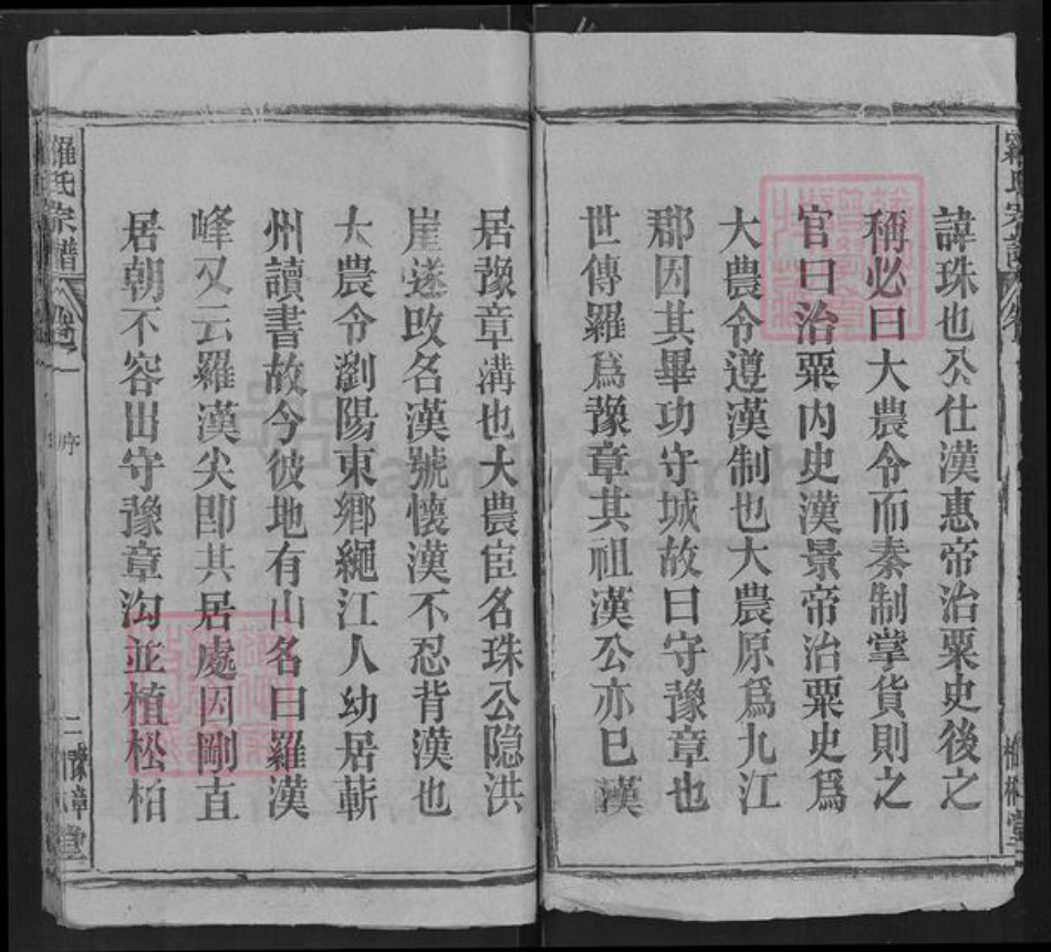 湖北省罗氏柏林堂族谱-罗氏宗谱.pdf电子版插图2