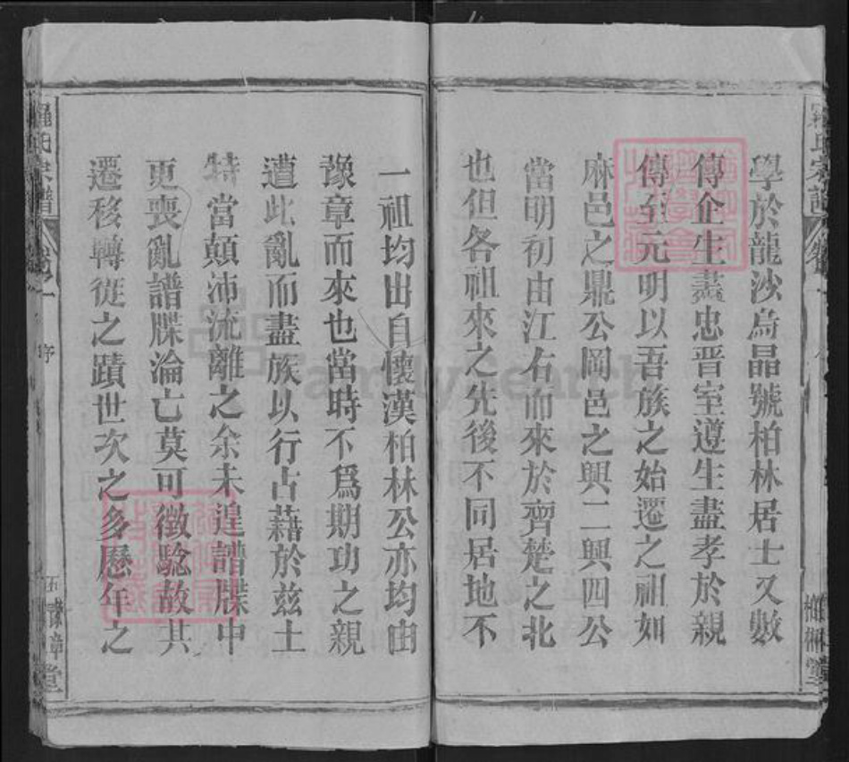 湖北省罗氏柏林堂族谱-罗氏宗谱.pdf电子版插图5