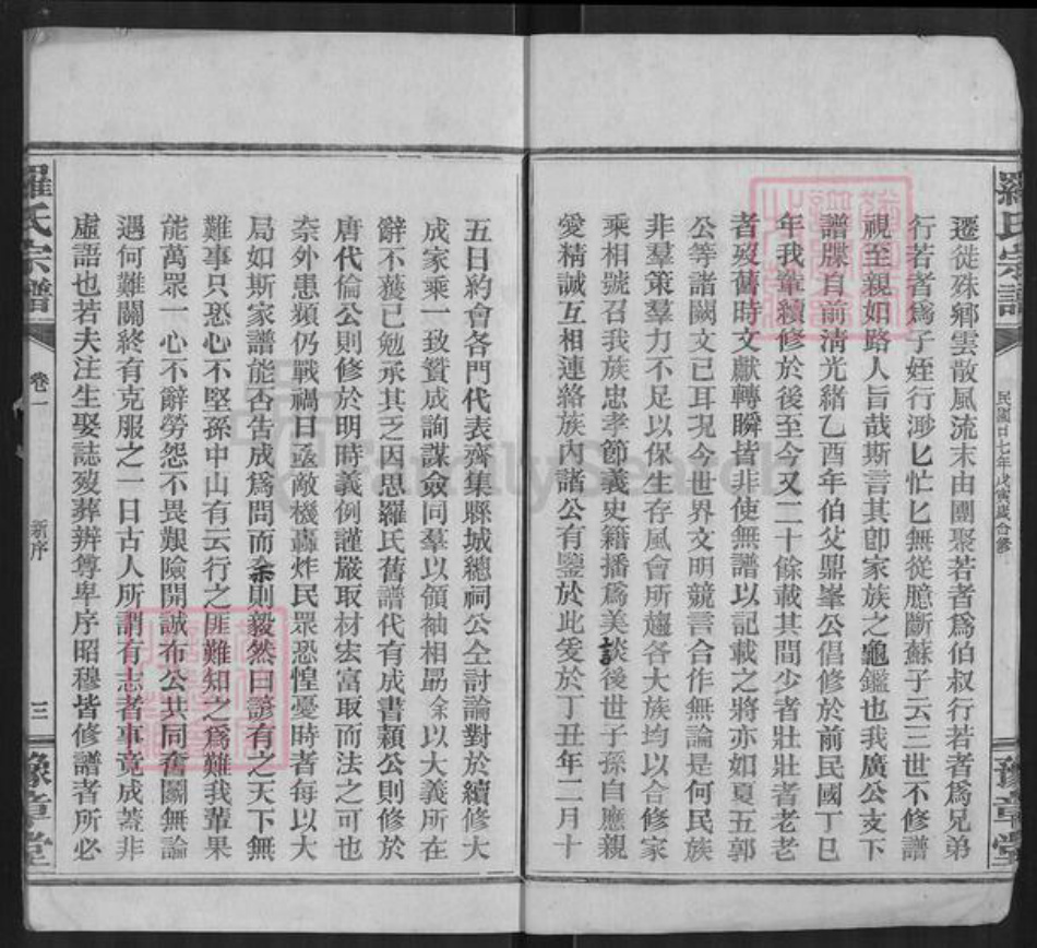 湖北省咸宁市通城县罗氏豫章堂族谱-罗氏宗谱.pdf电子版插图5