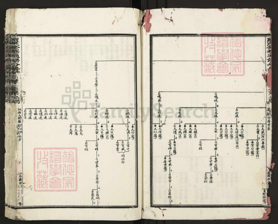 江西省赣州市罗氏族谱-罗氏全族通谱分房世录.pdf电子版插图4