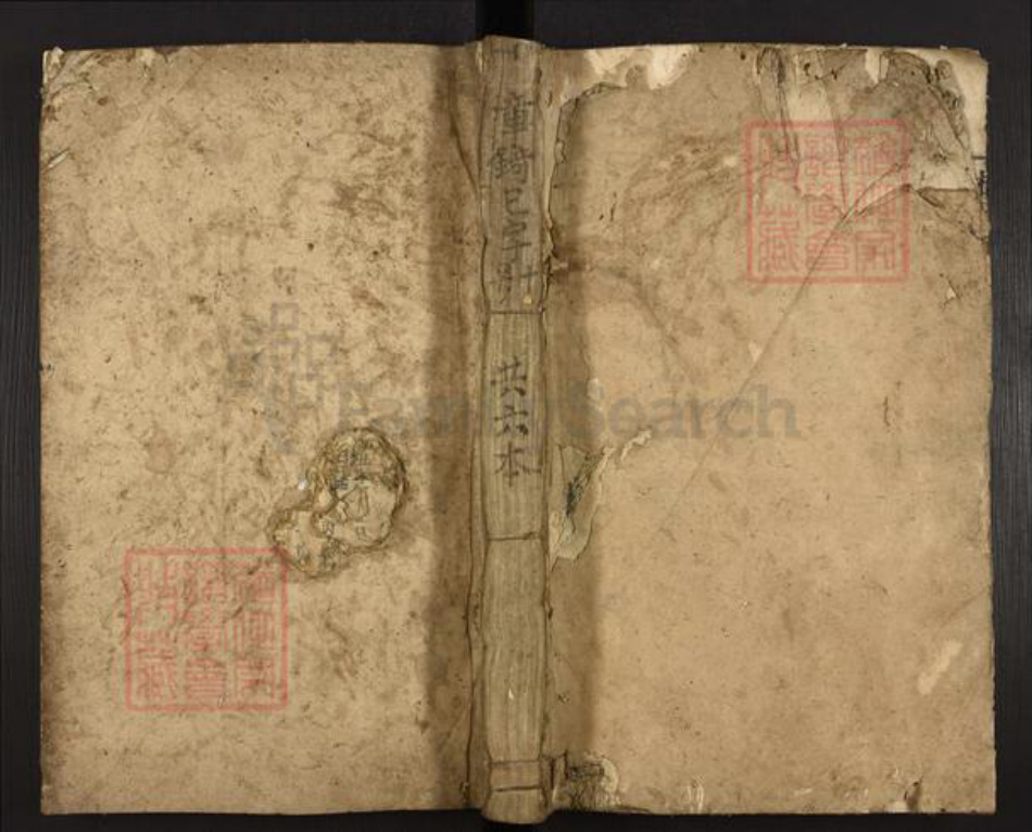 湖南省郴州市桂东县罗氏族谱-桂东罗氏族谱.pdf电子版