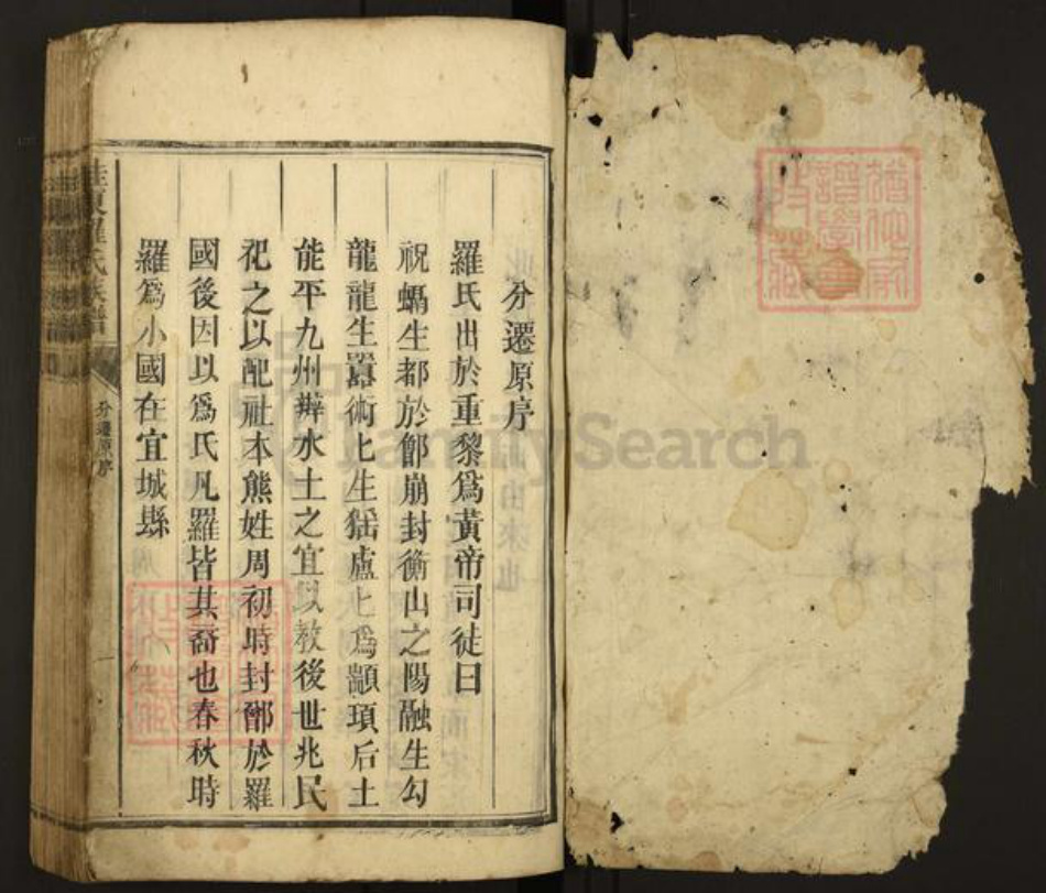 湖南省郴州市桂东县罗氏族谱-桂东罗氏族谱.pdf电子版插图1