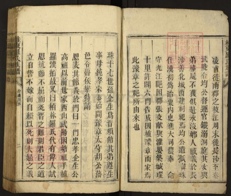 湖南省郴州市桂东县罗氏族谱-桂东罗氏族谱.pdf电子版插图2