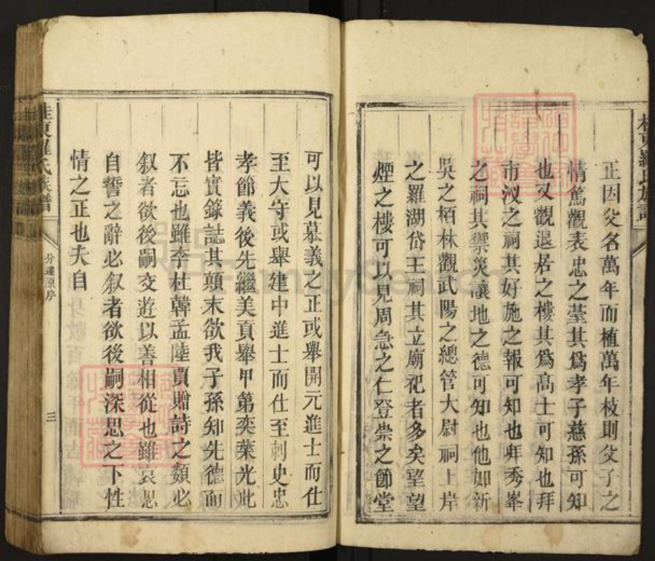 湖南省郴州市桂东县罗氏族谱-桂东罗氏族谱.pdf电子版插图3