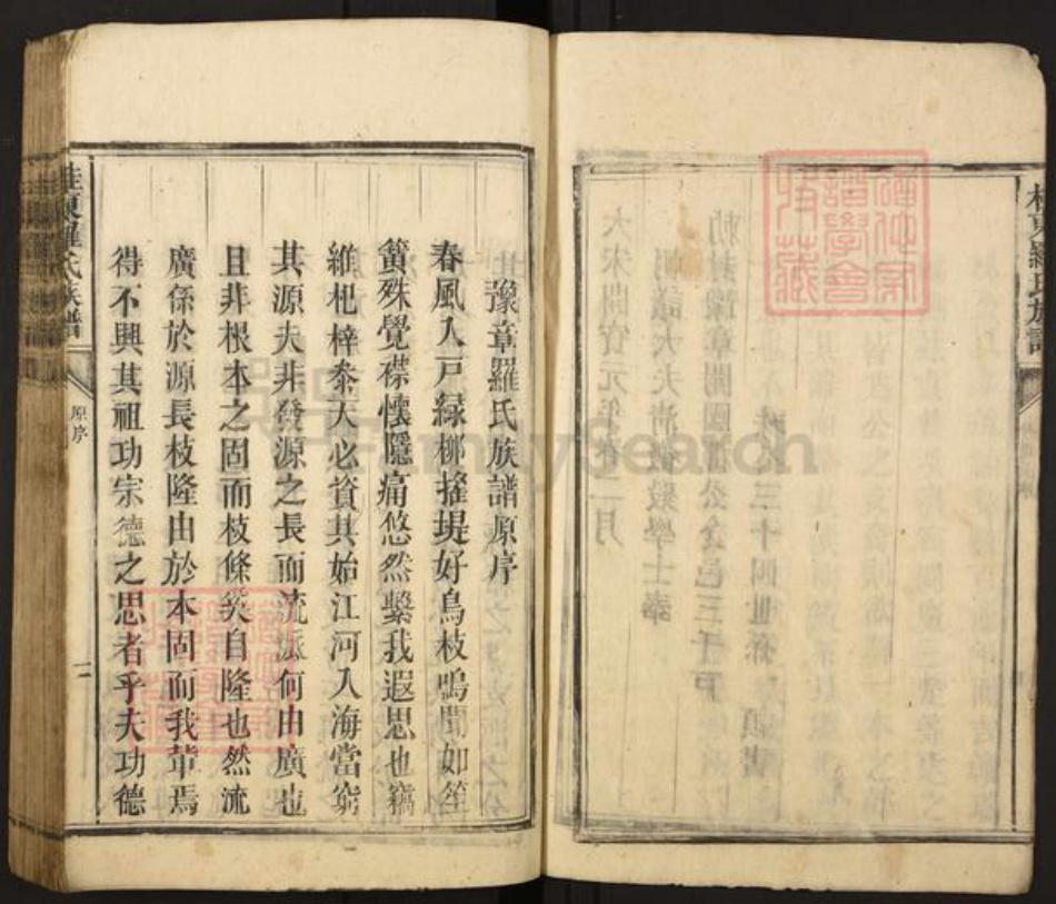 湖南省郴州市桂东县罗氏族谱-桂东罗氏族谱.pdf电子版插图5