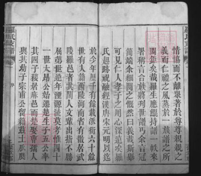 湖北省黄冈市麻城市白果镇罗氏报本堂族谱-罗氏支谱.pdf电子版插图2 湖北省黄冈市麻城市白果镇罗氏报本堂族谱-罗氏支谱.pdf电子版插图2