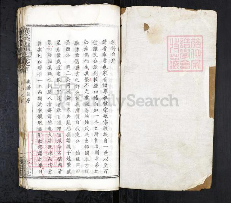 安徽省合肥市庐江县罗氏族谱-罗氏宗谱 20卷首3卷.pdf电子版插图1 安徽省合肥市庐江县罗氏族谱-罗氏宗谱 20卷首3卷.pdf电子版插图1