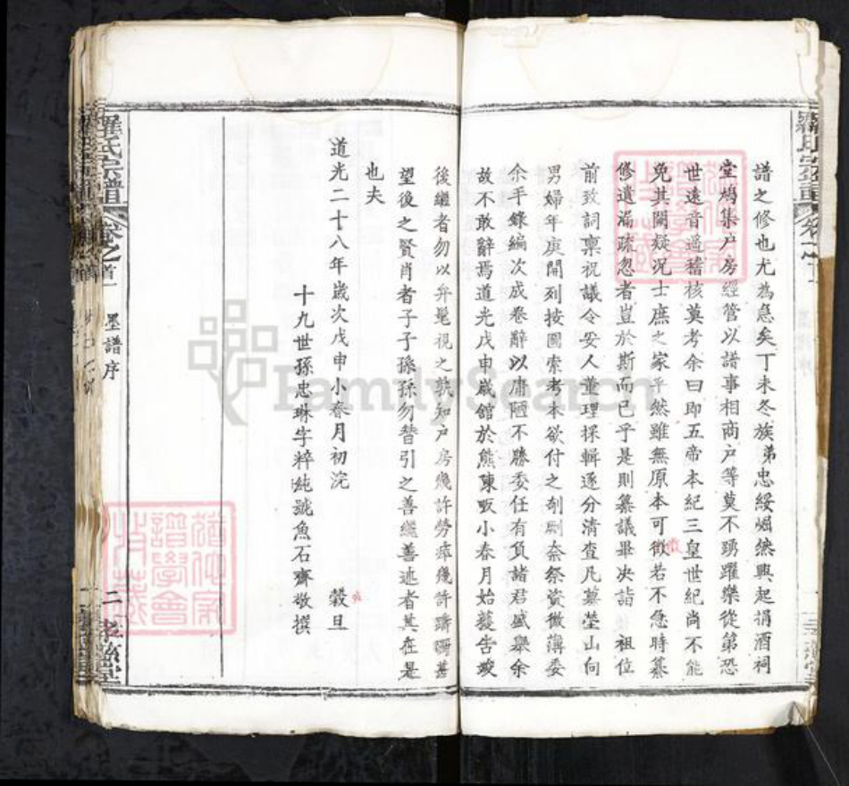 安徽省合肥市庐江县罗氏族谱-罗氏宗谱 20卷首3卷.pdf电子版插图4 安徽省合肥市庐江县罗氏族谱-罗氏宗谱 20卷首3卷.pdf电子版插图4