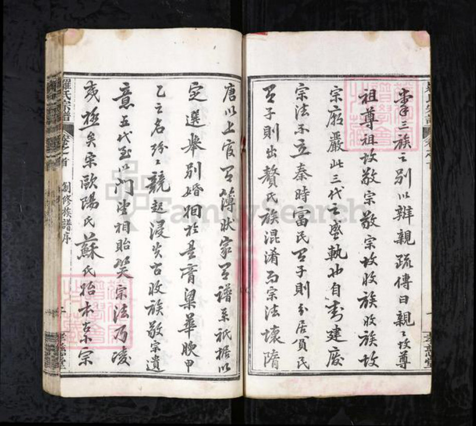 湖北省黄冈市罗氏族谱-罗氏宗谱（东分）[11卷首3卷].pdf电子版插图2