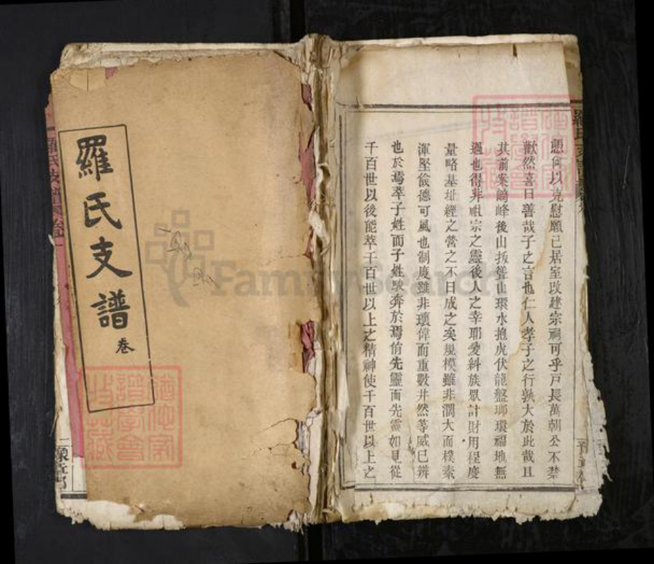 湖北省黄冈市红安县罗氏族谱-罗氏支谱[6卷].pdf电子版