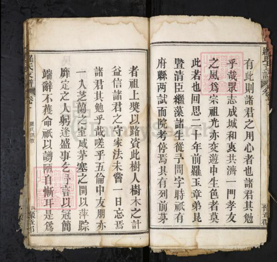 湖北省黄冈市红安县罗氏族谱-罗氏支谱[6卷].pdf电子版插图5