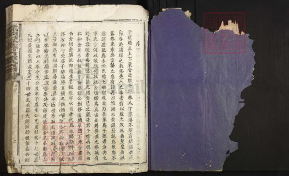 江西省抚州市广昌县甘竹镇罗氏复初堂族谱-泰和阙城分徙甘竹罗氏族谱.pdf电子版插图1 江西省抚州市广昌县甘竹镇罗氏复初堂族谱-泰和阙城分徙甘竹罗氏族谱.pdf电子版插图1