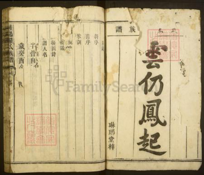 湖南省郴州市桂阳县罗氏琳琅堂族谱-桂阳罗氏族谱.pdf电子版插图1 湖南省郴州市桂阳县罗氏琳琅堂族谱-桂阳罗氏族谱.pdf电子版插图1