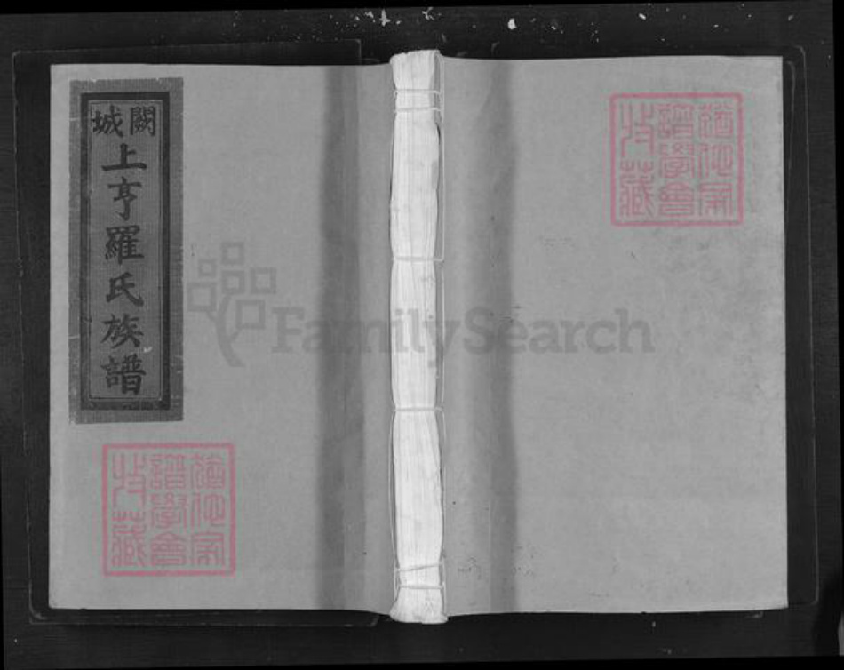 江西省吉安市泰和市罗氏族谱-阙城上亨罗氏族谱.pdf电子版插图 江西省吉安市泰和市罗氏族谱-阙城上亨罗氏族谱.pdf电子版插图