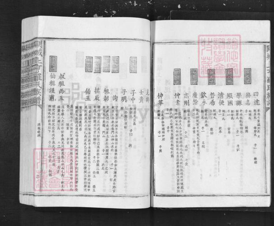 江西省吉安市泰和市罗氏族谱-阙城上亨罗氏族谱.pdf电子版插图2 江西省吉安市泰和市罗氏族谱-阙城上亨罗氏族谱.pdf电子版插图2