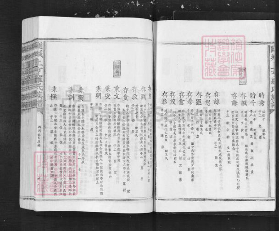 江西省吉安市泰和市罗氏族谱-阙城上亨罗氏族谱.pdf电子版插图4 江西省吉安市泰和市罗氏族谱-阙城上亨罗氏族谱.pdf电子版插图4