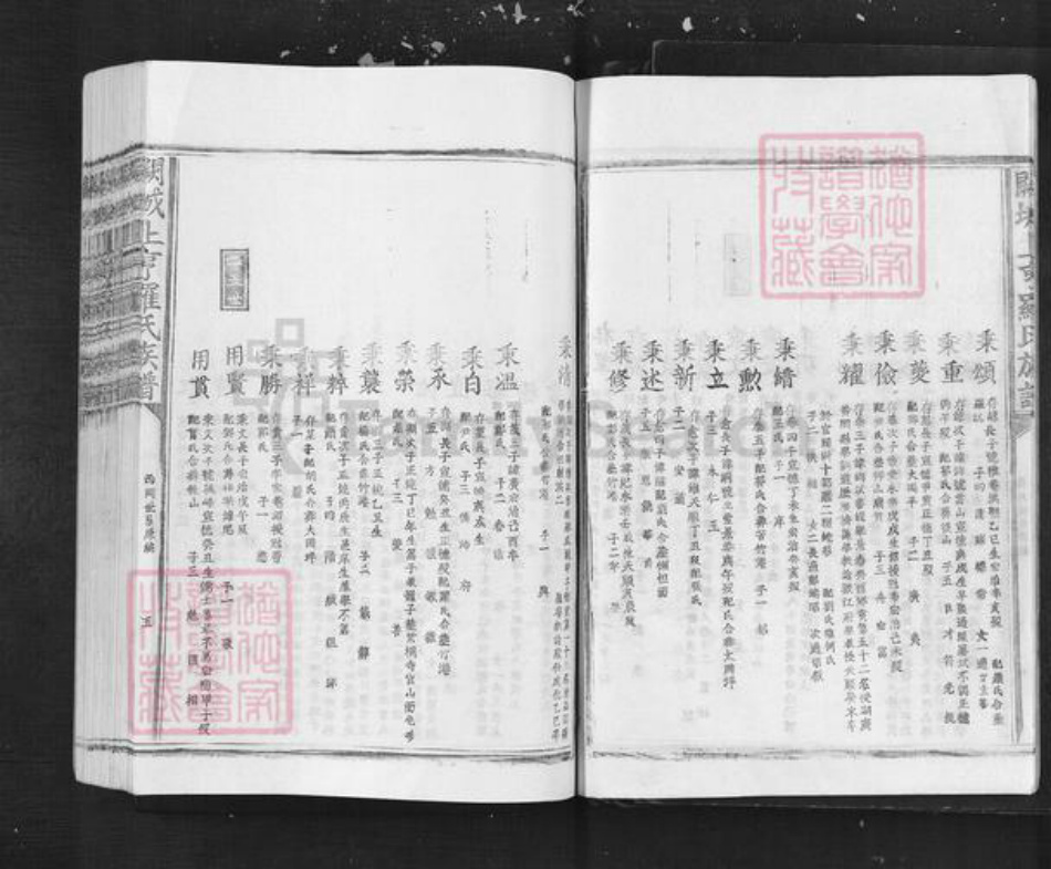 江西省吉安市泰和市罗氏族谱-阙城上亨罗氏族谱.pdf电子版插图5 江西省吉安市泰和市罗氏族谱-阙城上亨罗氏族谱.pdf电子版插图5