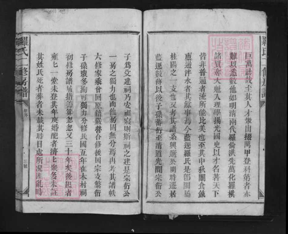 江西省南昌市罗氏族谱-罗氏二修房谱.pdf电子版插图3