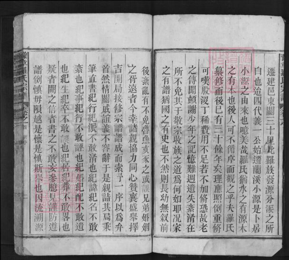 浙江省金华市兰溪市罗氏族谱-豫章罗氏宗谱.pdf电子版插图2