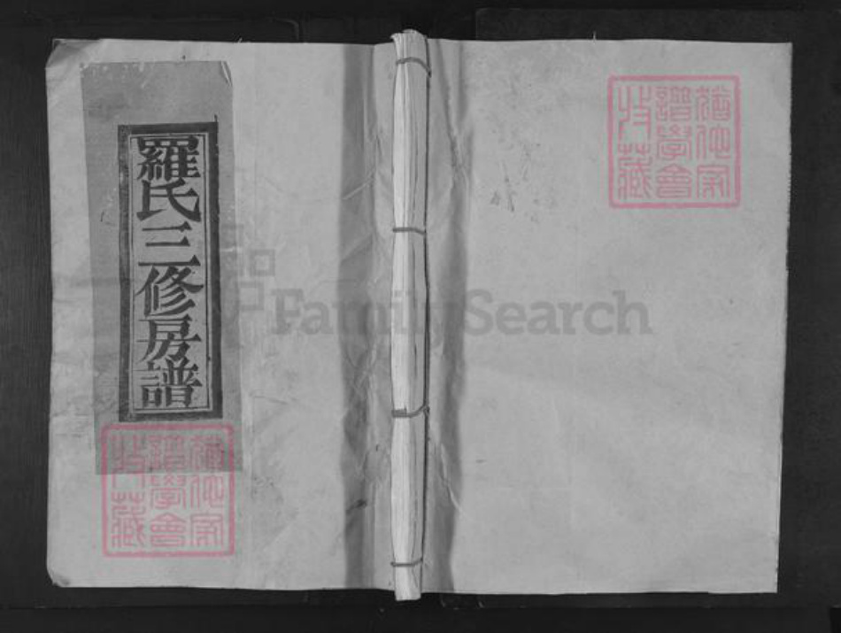 江西省南昌市东湖区罗氏族谱-罗氏三修房谱.pdf电子版