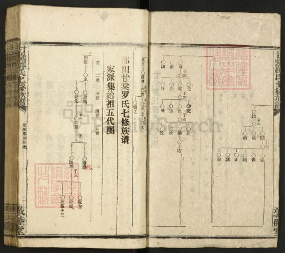 湖南省邵阳市邵阳县罗氏敦睦堂族谱-甘棠罗氏七修族谱.pdf电子版插图2