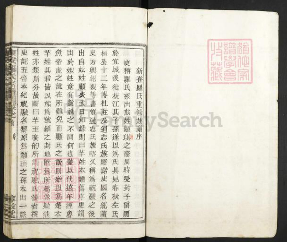 浙江省杭州市富阳罗氏惇叙堂族谱-东安罗氏宗谱.pdf电子版插图1