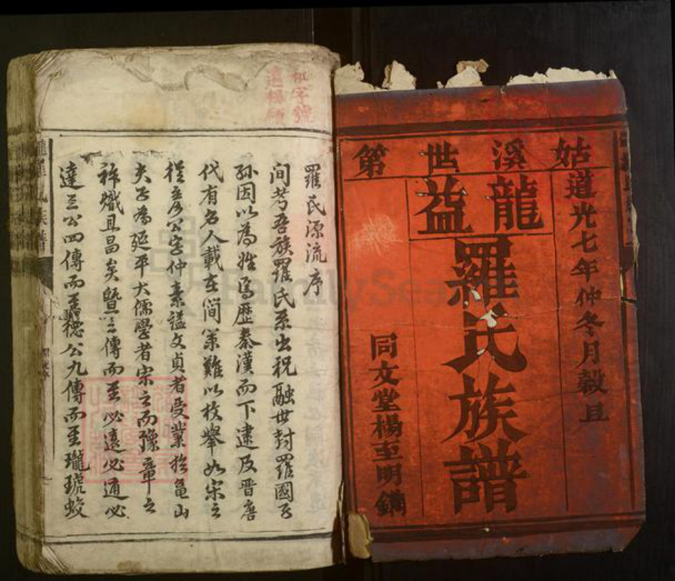 湖南省常德市罗氏族谱-龙益罗氏族谱[20卷首1卷].pdf电子版插图1