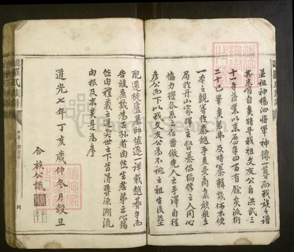 湖南省常德市罗氏族谱-龙益罗氏族谱[20卷首1卷].pdf电子版插图4