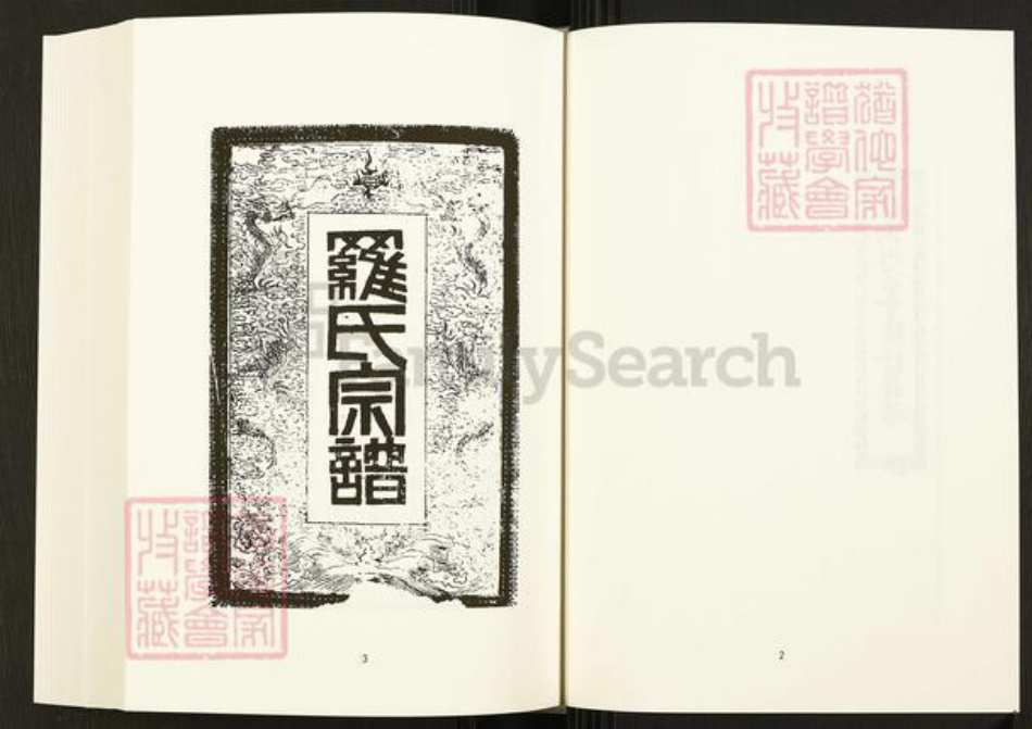 四川省内江市隆昌县四川省罗氏族谱-中国珍稀家谱丛刊.四川家谱.第21册.隆昌罗氏世谱.pdf电子版插图4 四川省内江市隆昌县四川省罗氏族谱-中国珍稀家谱丛刊.四川家谱.第21册.隆昌罗氏世谱.pdf电子版插图4