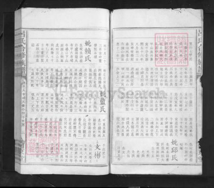 江西省赣州市赣县区吕氏河东堂族谱-吕氏合修族谱.pdf电子版插图3 江西省赣州市赣县区吕氏河东堂族谱-吕氏合修族谱.pdf电子版插图3