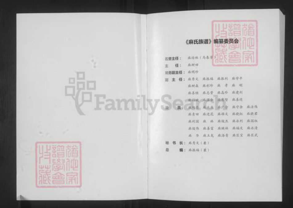 山西省大同市浑源县麻氏族谱-山西浑源.麻氏族谱.pdf电子版插图2